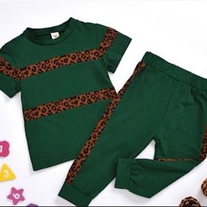 Animal Print Two Piece